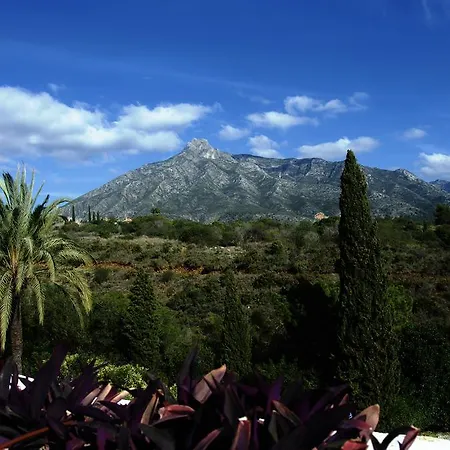Botanic Μαρμπέλλα